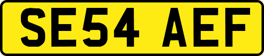 SE54AEF