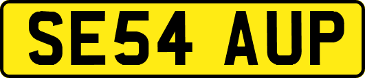 SE54AUP