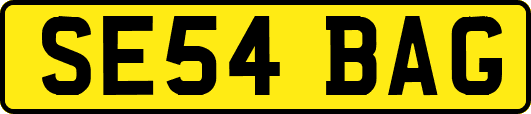SE54BAG