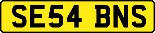 SE54BNS