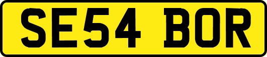 SE54BOR