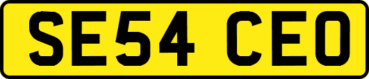 SE54CEO