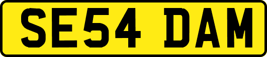 SE54DAM