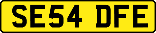 SE54DFE