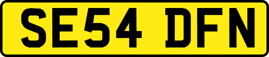 SE54DFN