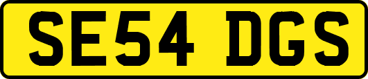 SE54DGS