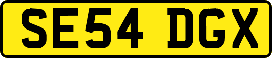 SE54DGX