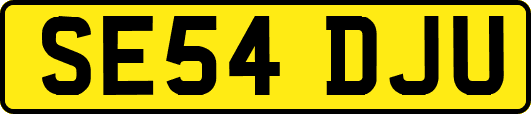SE54DJU