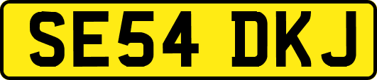 SE54DKJ