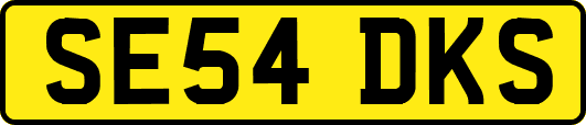 SE54DKS