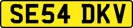 SE54DKV