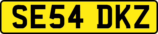 SE54DKZ