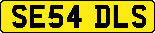 SE54DLS
