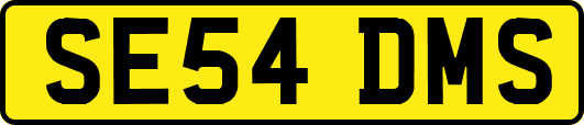SE54DMS