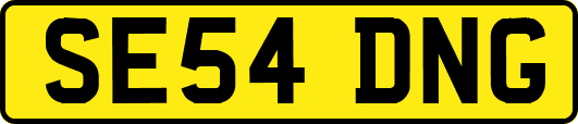 SE54DNG