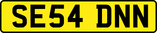 SE54DNN