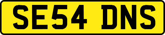 SE54DNS