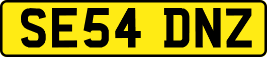 SE54DNZ