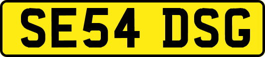 SE54DSG