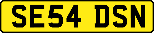 SE54DSN