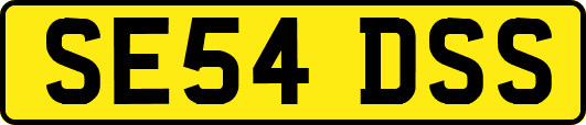 SE54DSS