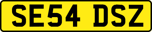 SE54DSZ