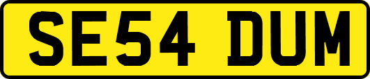 SE54DUM