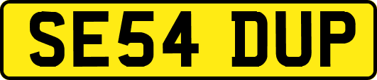 SE54DUP