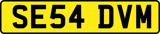 SE54DVM