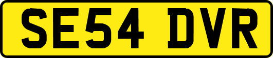 SE54DVR