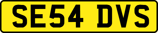 SE54DVS