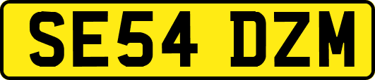 SE54DZM