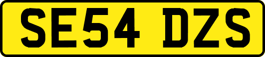SE54DZS