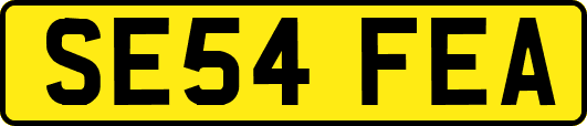 SE54FEA