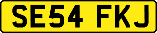 SE54FKJ