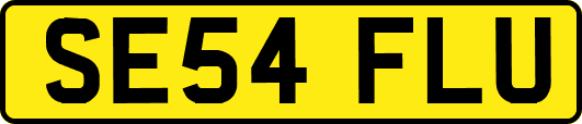 SE54FLU