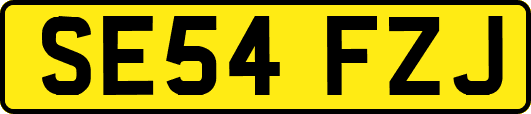 SE54FZJ