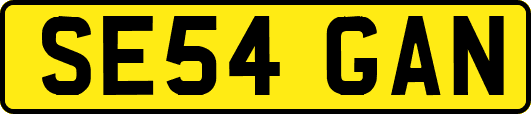 SE54GAN