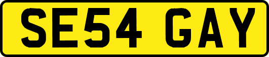SE54GAY