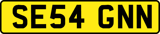SE54GNN