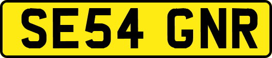 SE54GNR