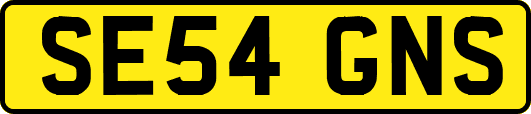 SE54GNS