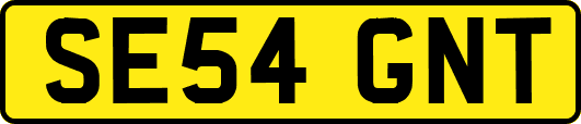 SE54GNT