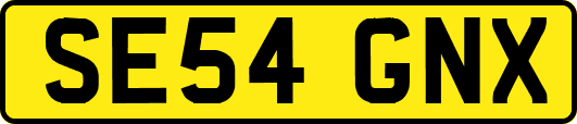 SE54GNX