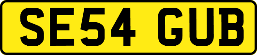SE54GUB