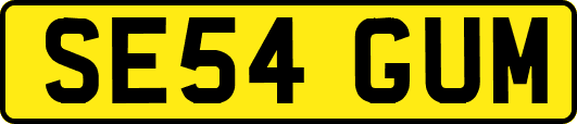 SE54GUM