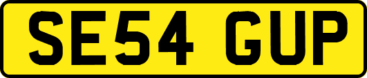 SE54GUP