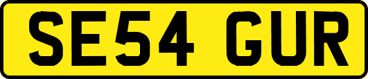 SE54GUR