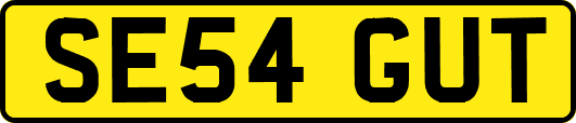 SE54GUT