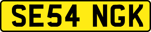 SE54NGK